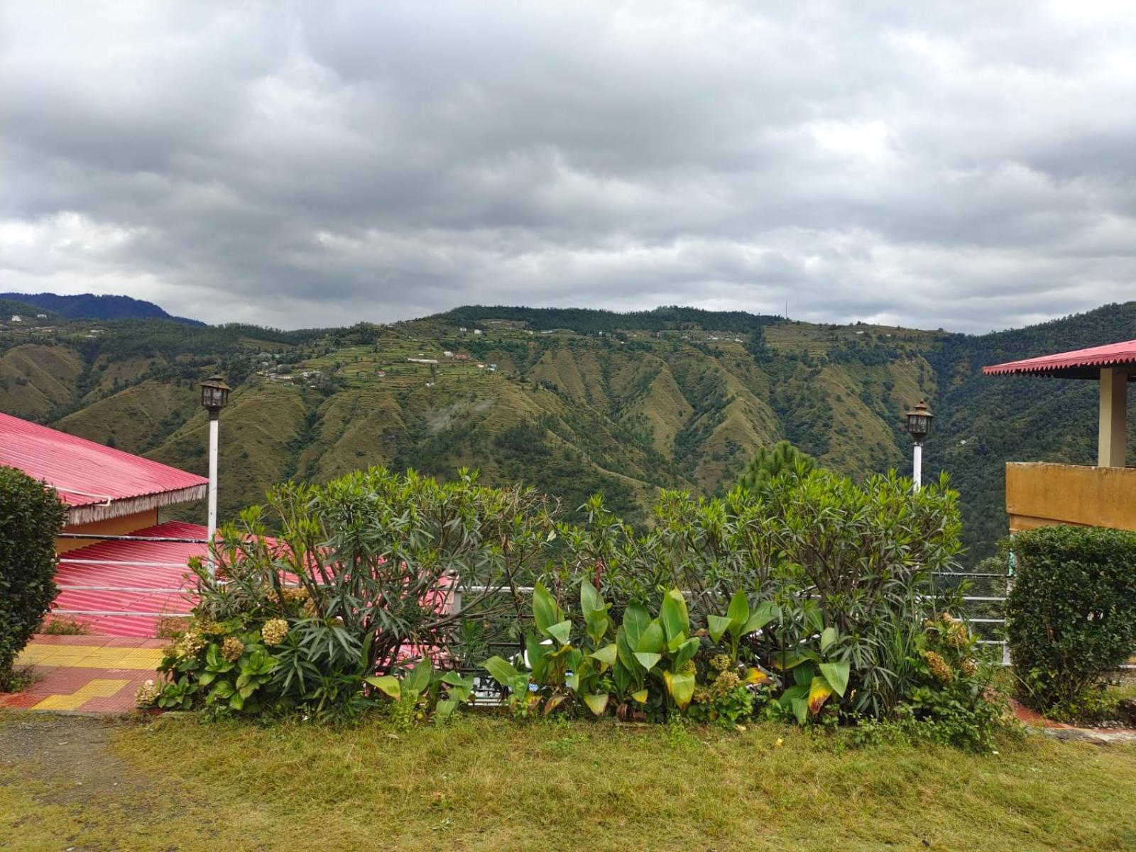 Little Heart Resort Chail Exterior photo